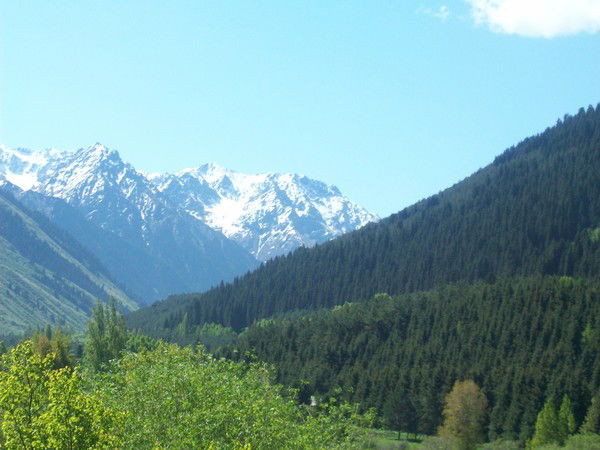 Иса Орозбаев