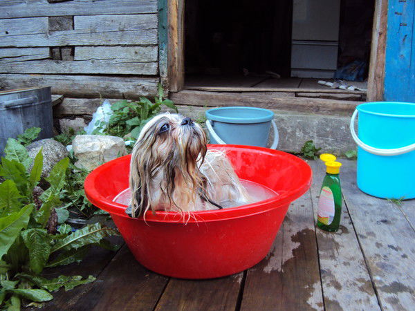 Оля Крылова