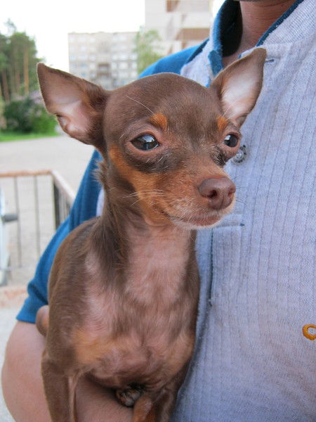 Сергей Варганов