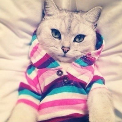 Мария Гавенко