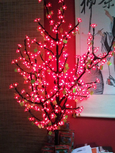 Светлана Реут