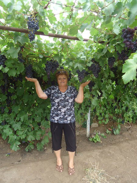 Евдокия Лазоренко