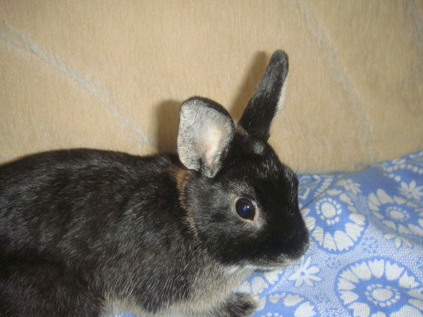 Анна Сучкова