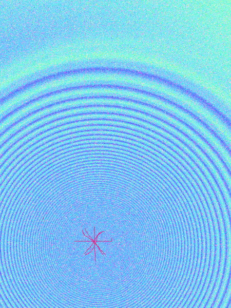 Полина Шилина