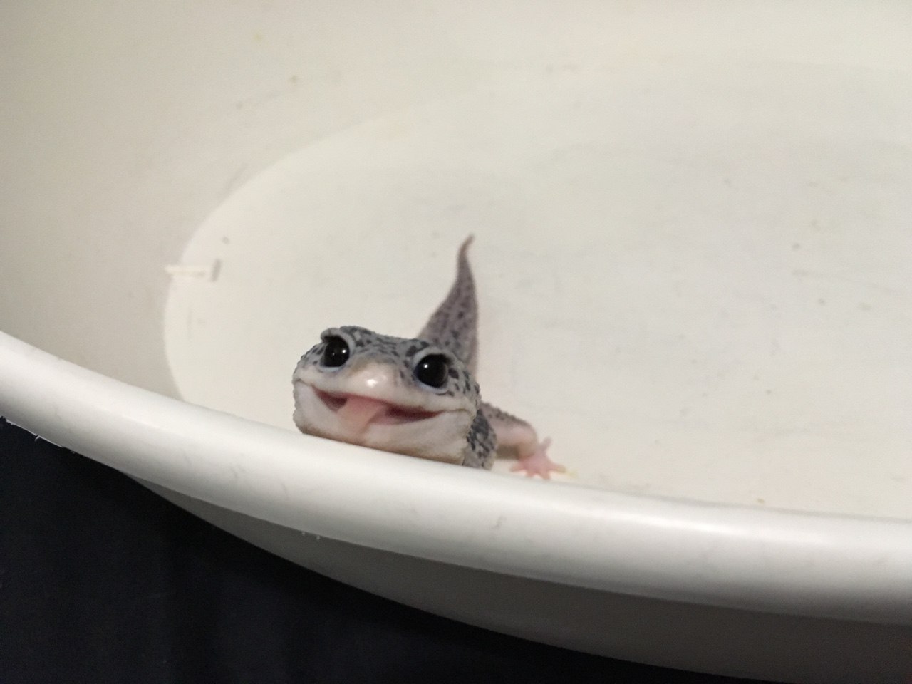 Юля Игнатьева