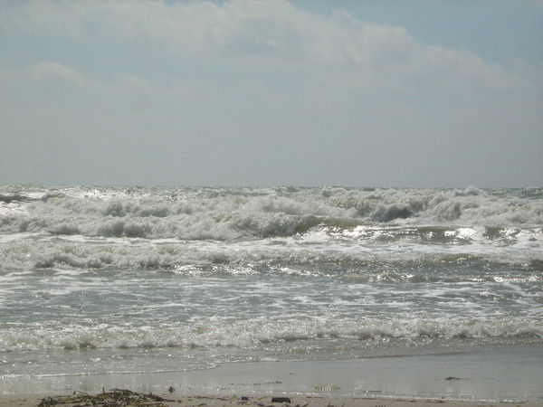 Андрей Мачук