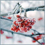 Мария Оспищева