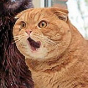 Иван Измайлов