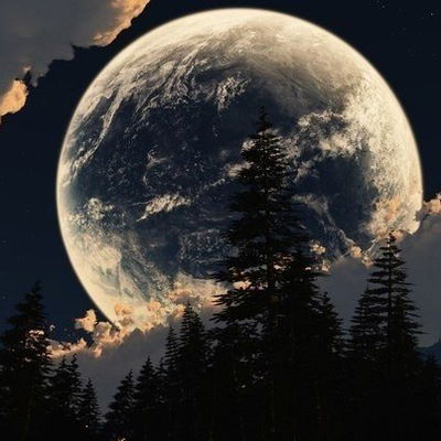 Дмитрий Дашунин