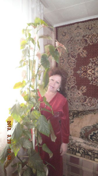 Галина Сухабрус