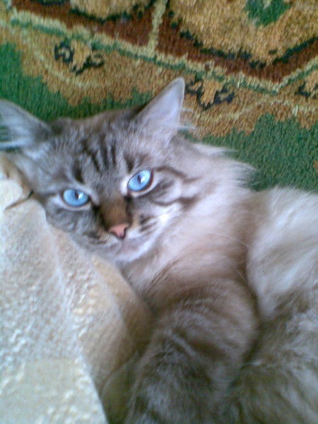 Валерий Тарарушкин