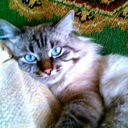 Валерий Тарарушкин