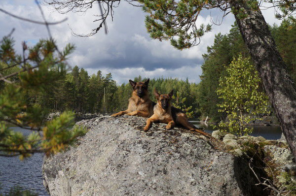 Ирина И Алексей Пироговы