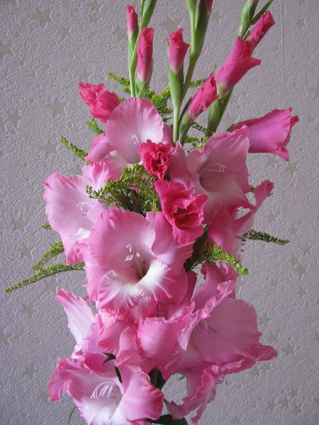 Елена Карпова