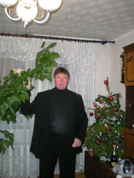 Александр Жуль