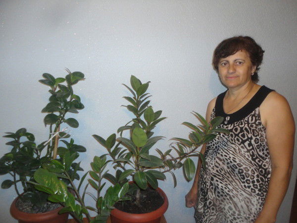 Елена Романова