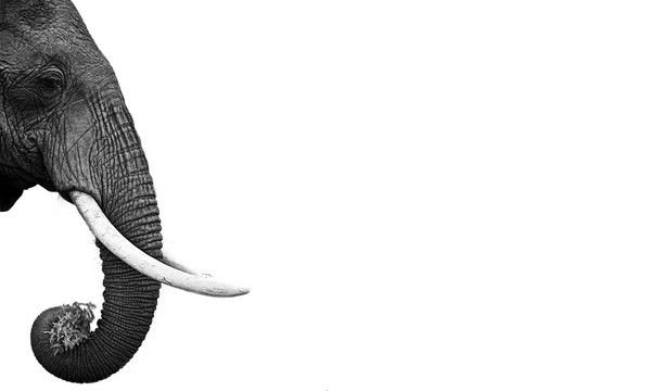 Юрий Иванов