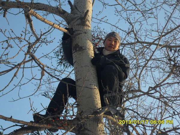 Толя Кялундзюга