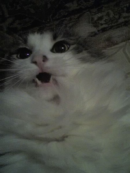 Андрей Иванов