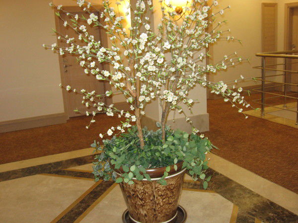 Ольга Воронина