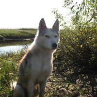 Юлия Ларгина