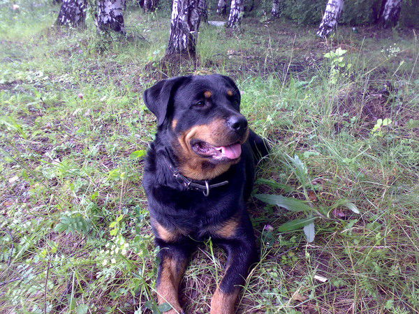 Наталья Деткина