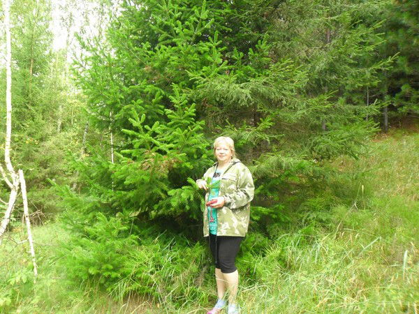 Инна Комардина