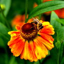 Ольга Колодкина