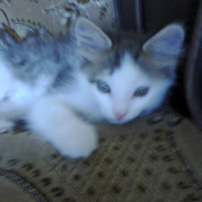 Ольга Бушмина