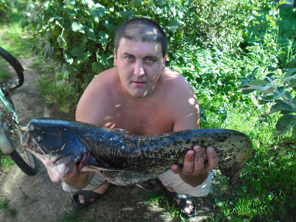 Игорь Вайновский