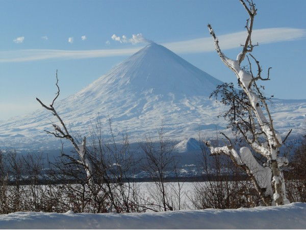 Михаил Савицкий
