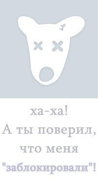 Настя Павлова