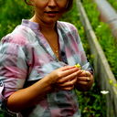 Елена Артеменко