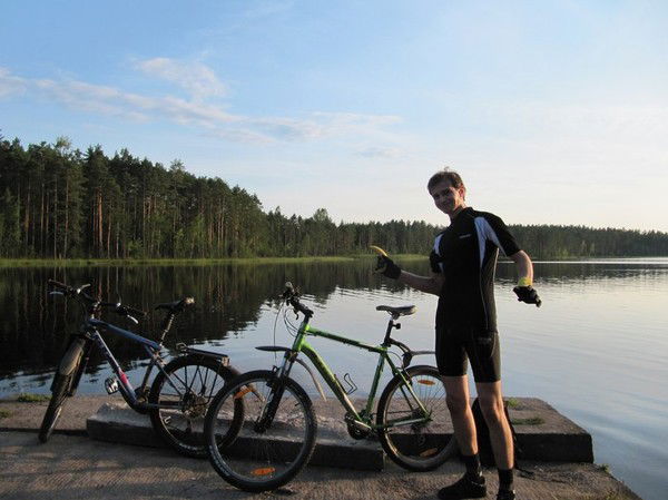 Ромашка Chrome