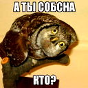 Андрюха Горб