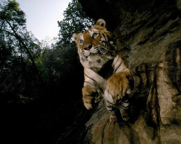 Анна Казарина