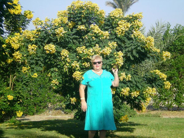 Наталия Тесленко