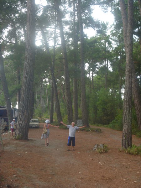 Владимир Хадиков