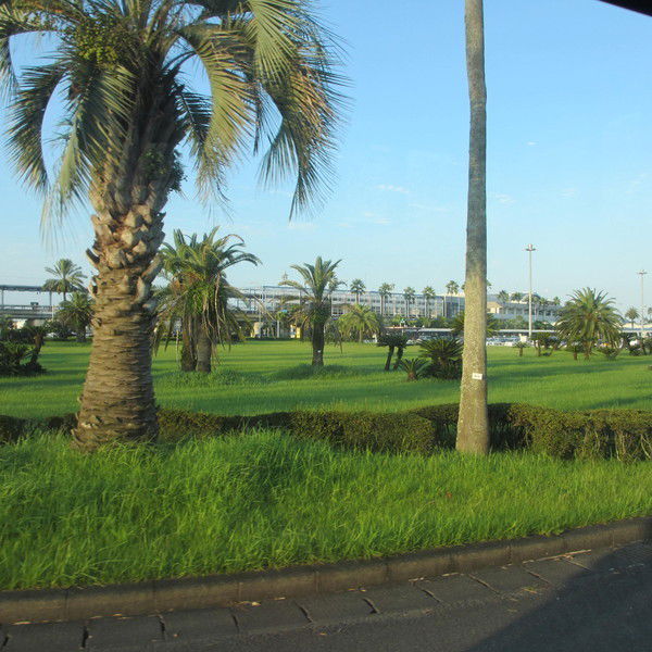 Алия Отешбайкызы