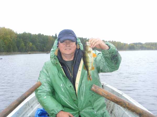 Андрей Ильин