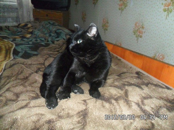 Татьяна Литвинцева