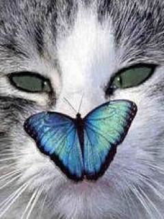 Елена Сильченко