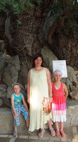 Юлия Дмитриева