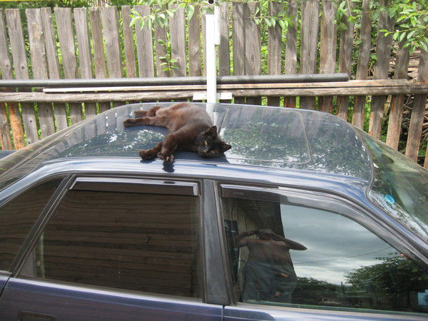 Алексей Мингалеев