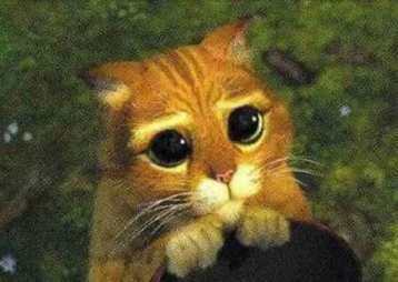 Нуржигит ********