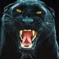 Эдик Гагитэ