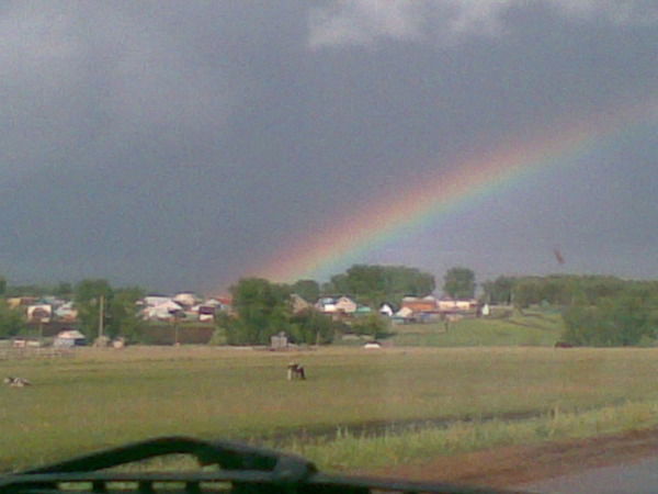 Ильнур Дильмухаметов