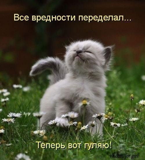 Виктор Пазюченко