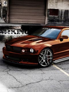 Ayturgan Janiwbekova