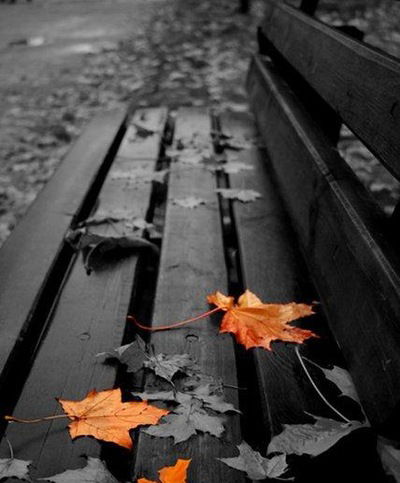 Анастасия Сподарева